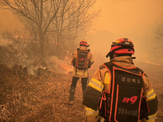 21일 오전 11시쯤 의성군 안평면 괴산리 야산에서 소방대원들이 산불 진화 작업을 벌이고 있다. 경북도소방본부 제공.