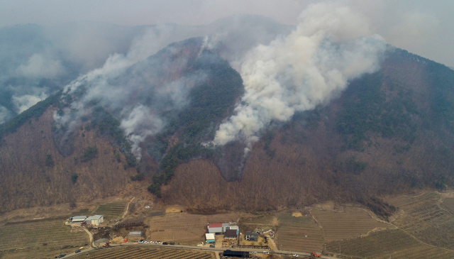 경북 의성에서 시작된 산불이 안동으로 번진 가운데 25일 오전 경북 안동시 길안면 백자리 일대 야산에서 연기가 피어오르고 있다. 연합뉴스