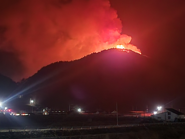 봉화군 물야면 개단리에서 산불이 발생 인근 산으로 확산되고 있다. 독자 제공