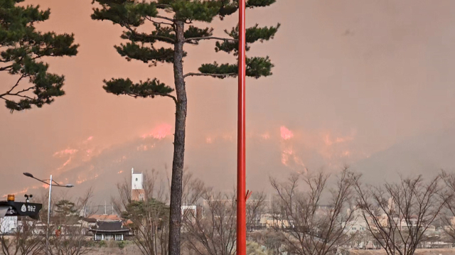 경북 의성 산불이 청송으로 확산된 25일 경북 청송군 청송문화예술회관에서 바라본 산이 불타고 있다. 연합뉴스