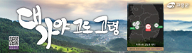 502고령군