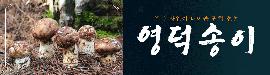 709영덕군